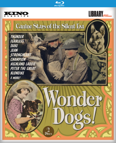 Wonder Dogs! 