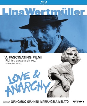 Love and Anarchy