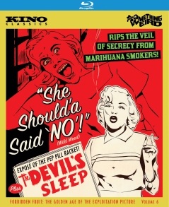 She Should'a Said 'NO'!/Devil's Sleep (Forbidden Fruit Vol. 6)